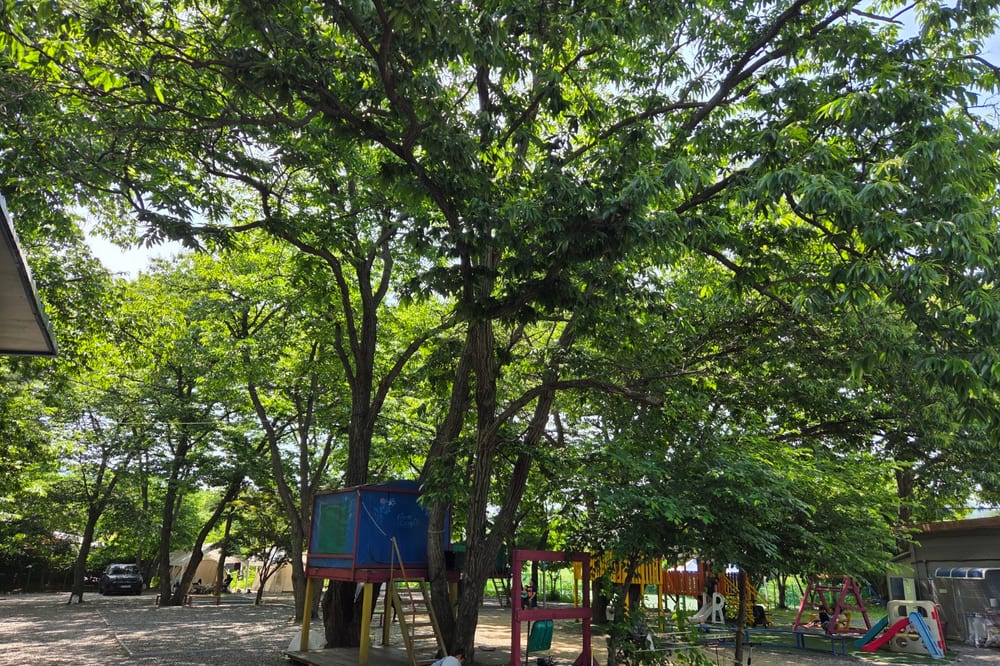 수동시온캠프 전경