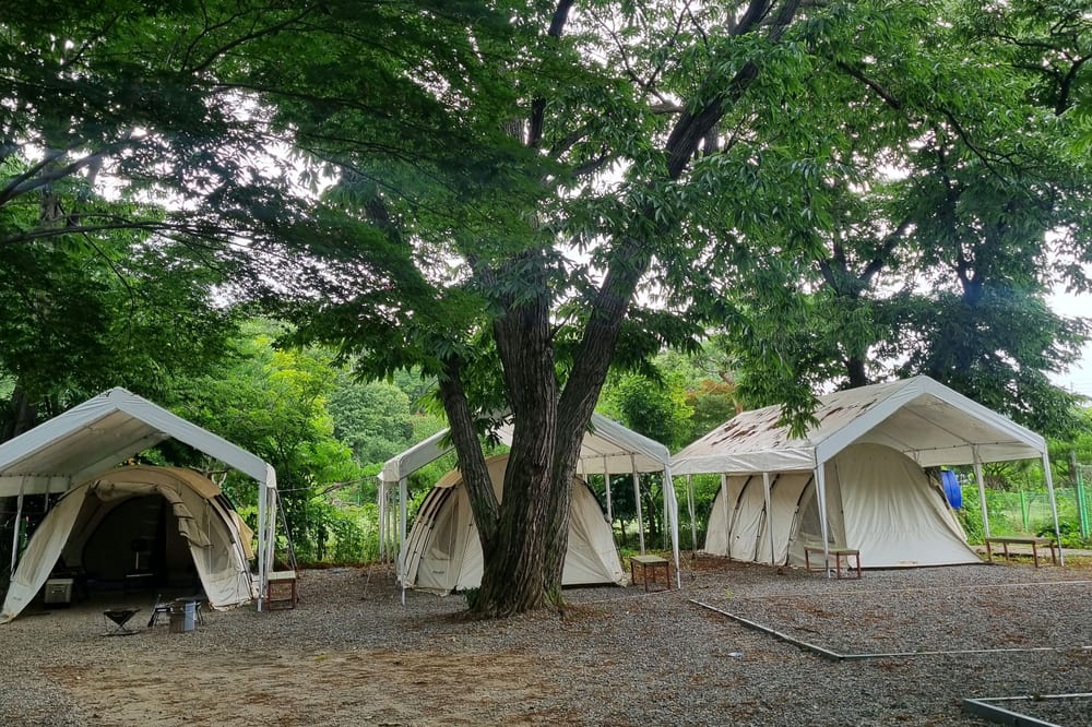 수동시온캠프 전경 2